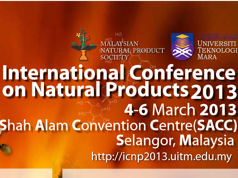 ICNP2013