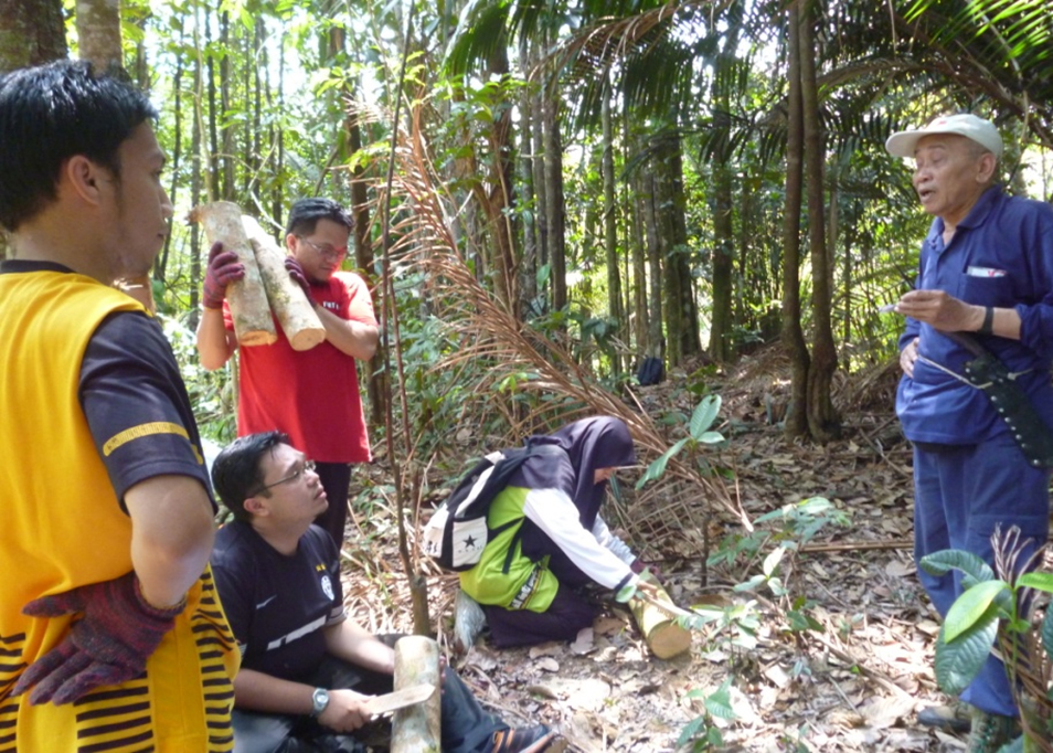 UPSI biodiversity fieldwork 05