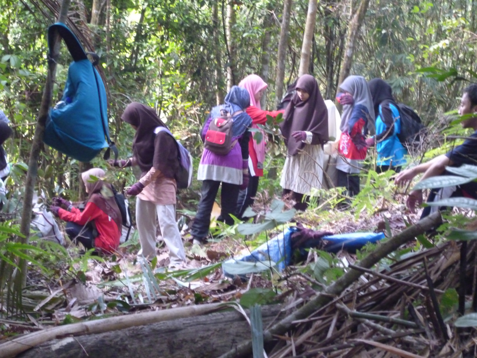 UPSI biodiversity fieldwork 09